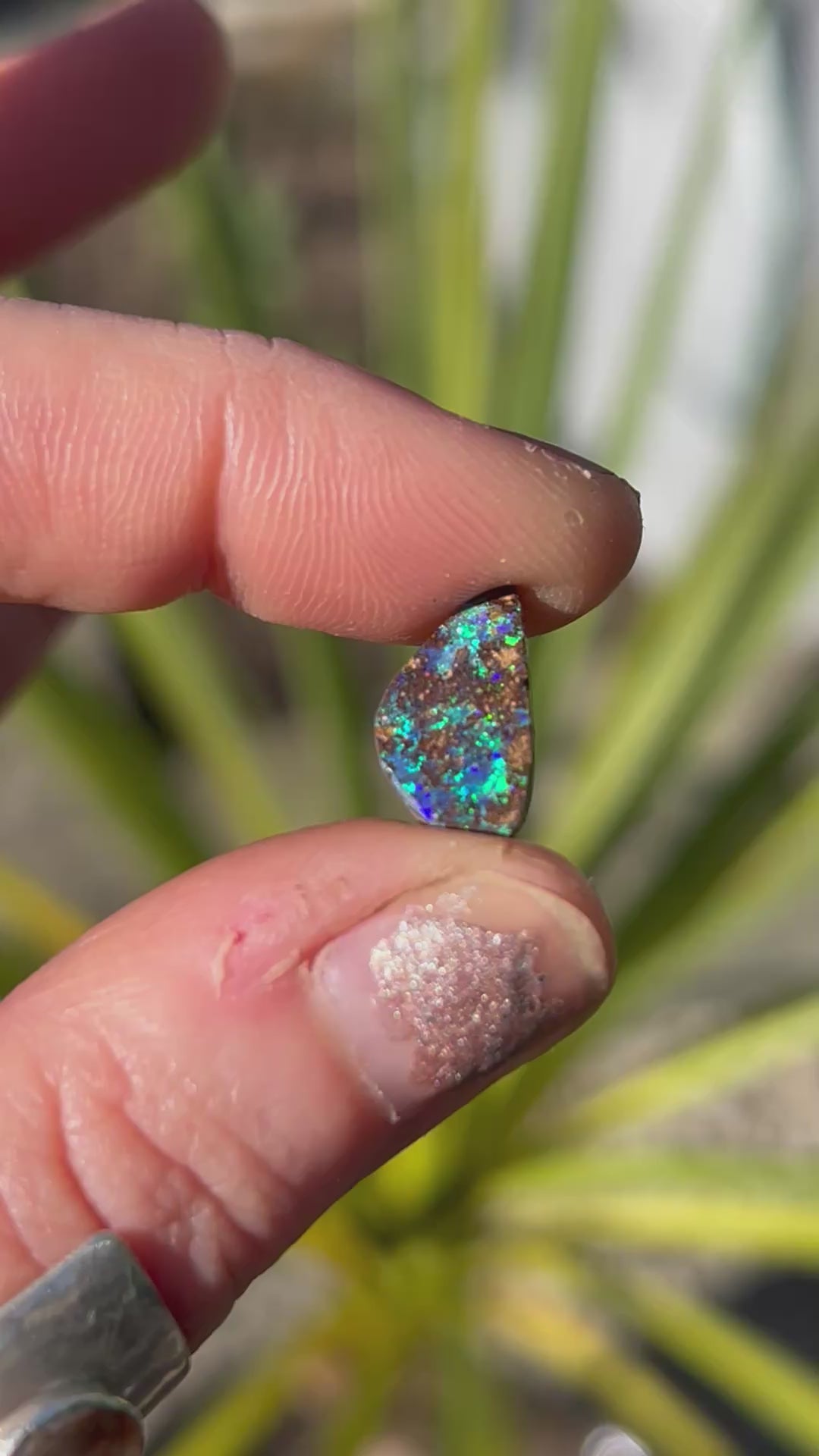 Boulder Opal Custom