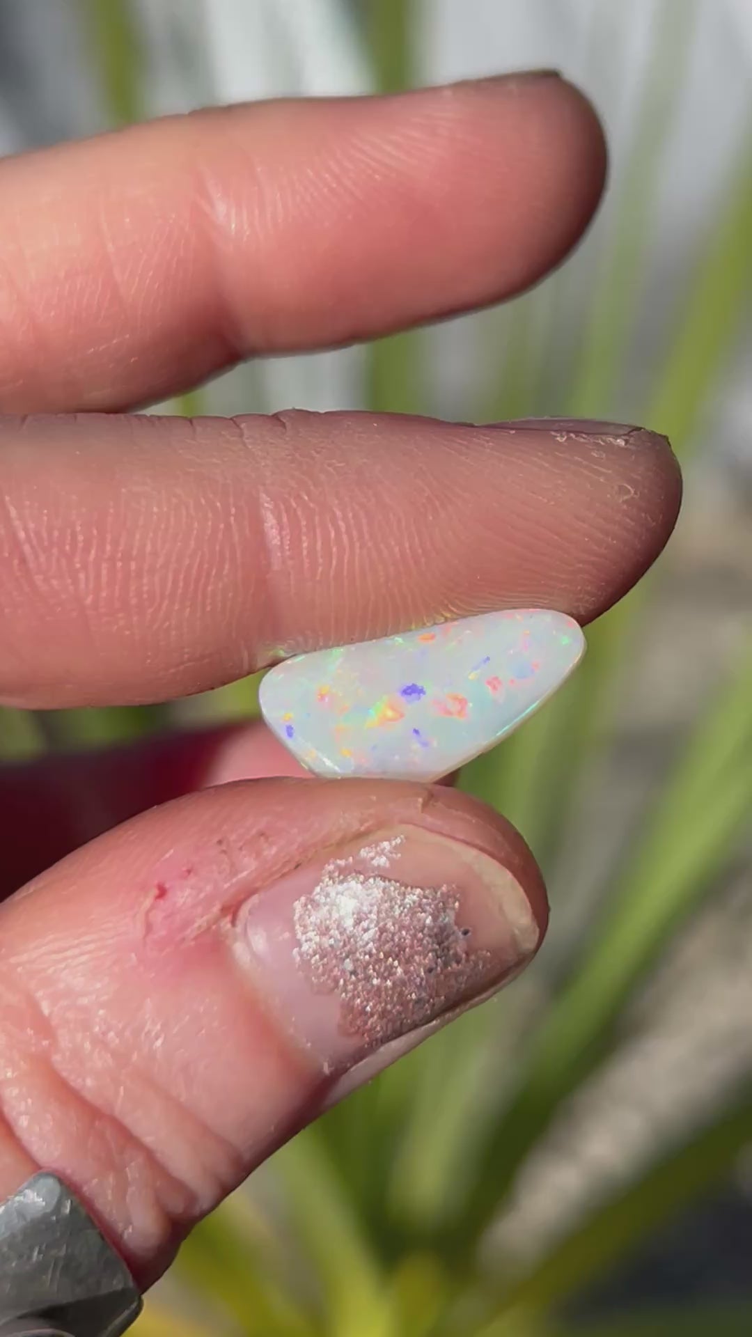 White Opal Custom