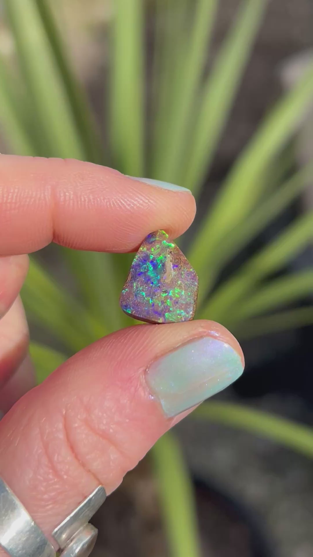 Boulder Opal Custom