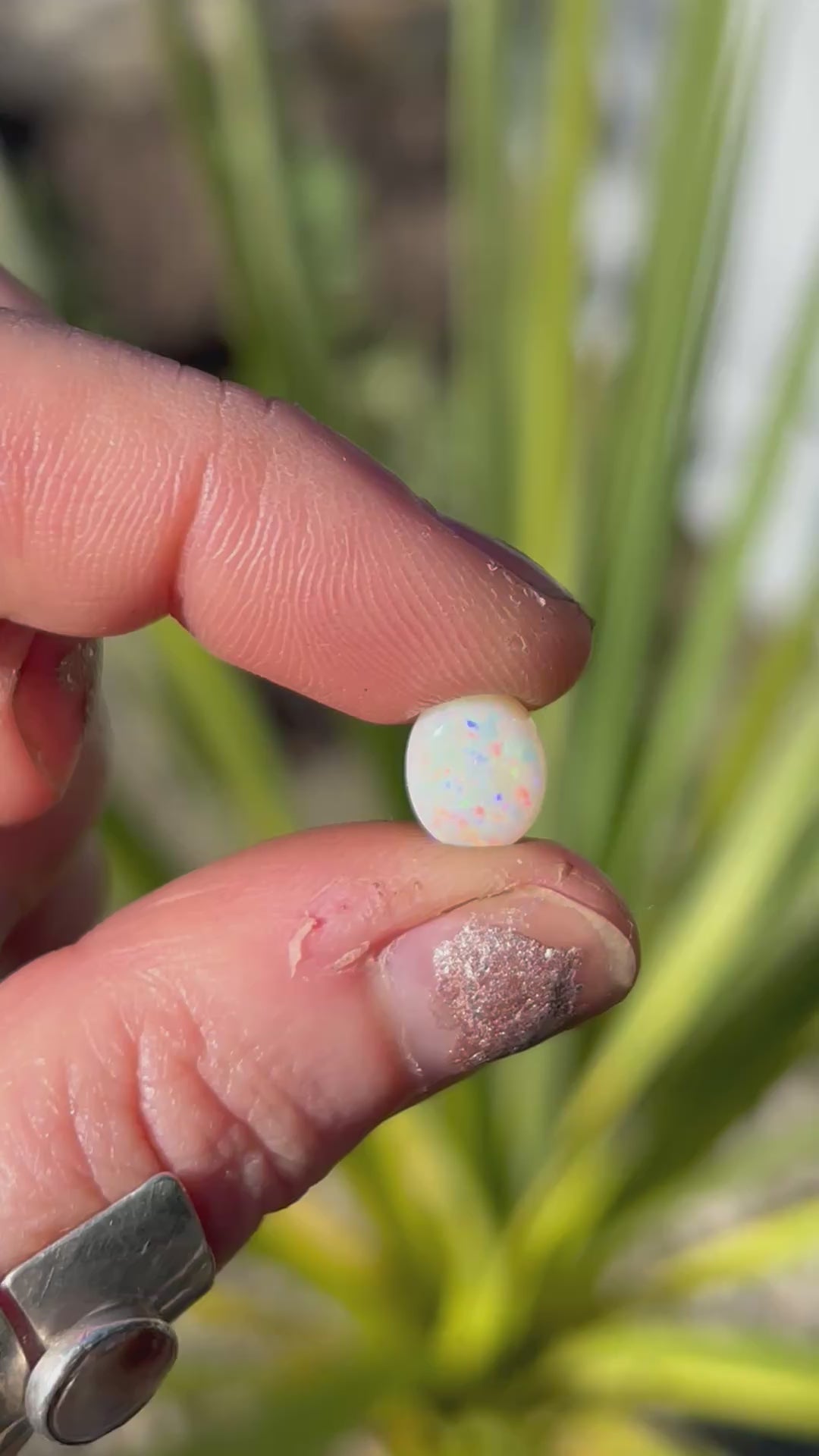 White Opal Custom