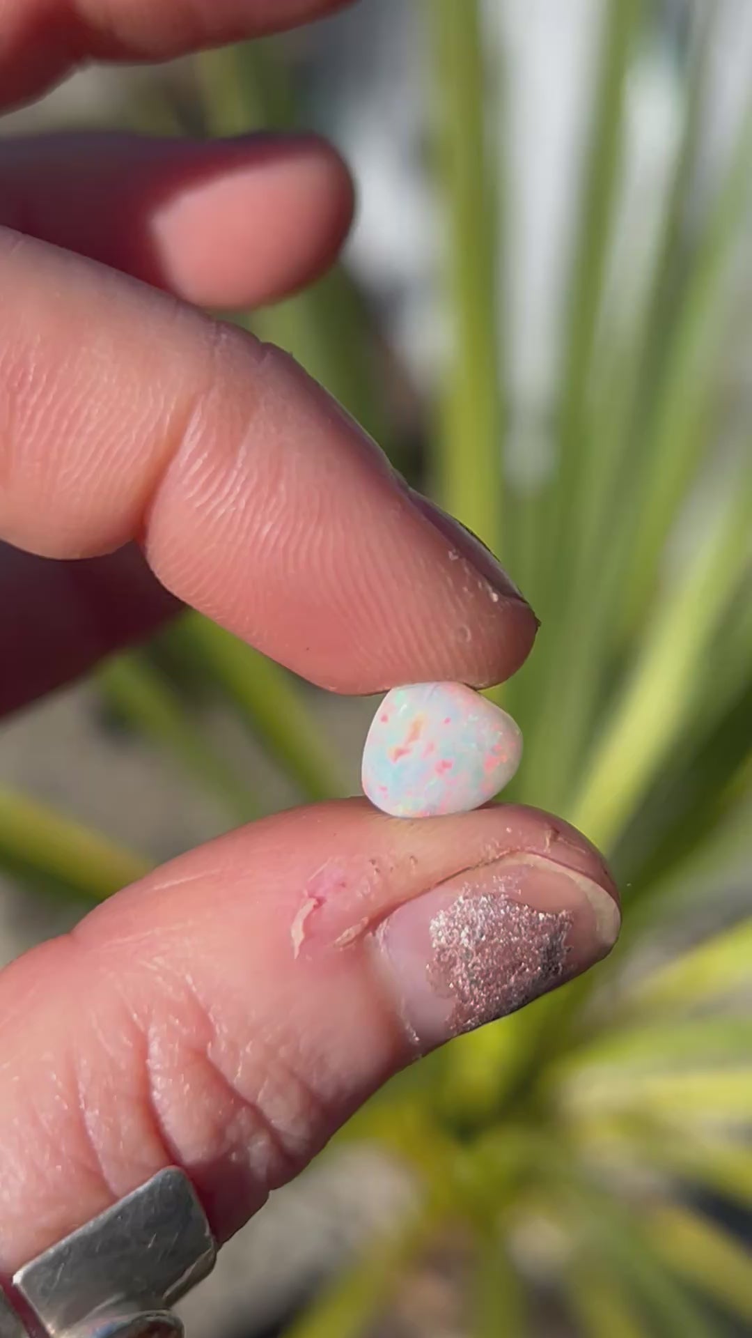 White Opal Custom